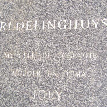 REDELINGHUYS Joey