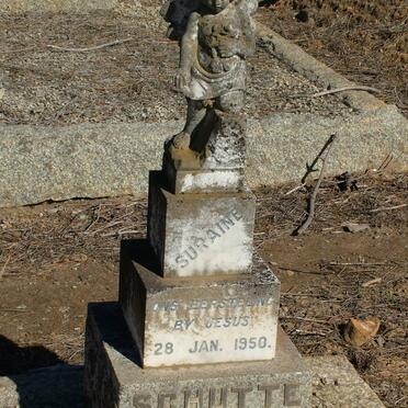 SCHUTTE Suraine -1950