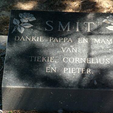 SMIT