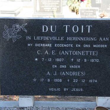 TOIT A.J., du 1908-1974 &amp; C.A.E. 1907-1970