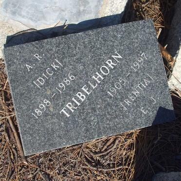 TRIBELHORN A.R. 1898-1986 &amp; E.J. 1905-1997