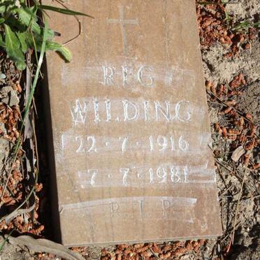 WILDING R.F.G. 1916-1981