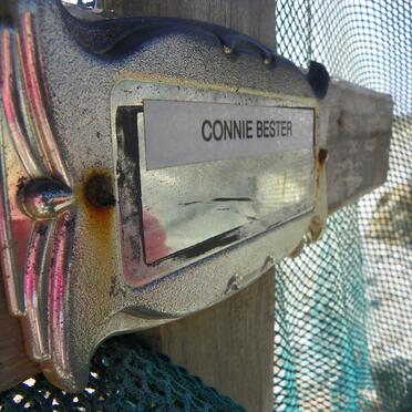 BESTER Connie