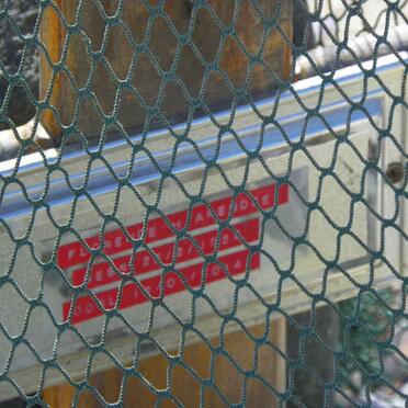 ARENDSE Florence 1952-2014 _1