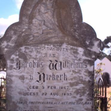 NIEKERK Jacobus Wilhelmus, van 1867-1899