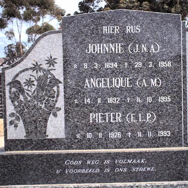 STEYN J.N.A. 1894-1958 :: STEYN  A.M. 1892-199 :: STEYN E.L.P. 1926-1993