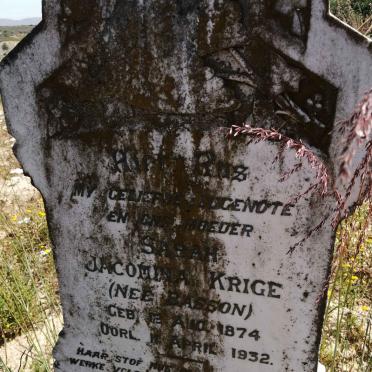KRIGE Sarah Jacomina nee BASSON 1874-1932
