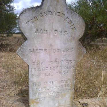SMIT C.S.N. 1880-1955 &amp; H.M. VISSER 1885-1951