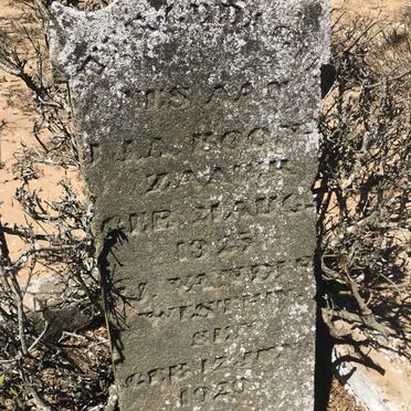 BOONZAAIER J. ?. A. 1925- :: WESTHUIZEN  ?, van der 1920-