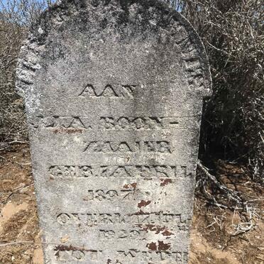 BOONZAAIER ?.?.A. 1897-1929 