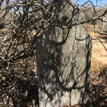 DYK, ? Johannes, van 1863-194?