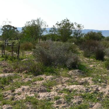 2. Entrance to the cemetery