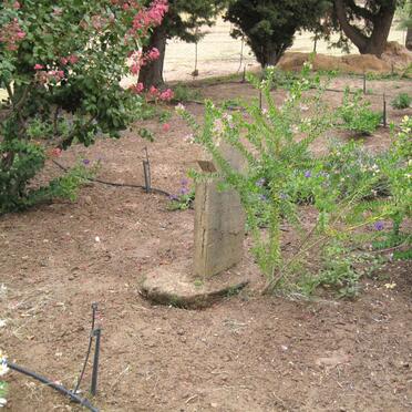 6. Overview of Cemetery