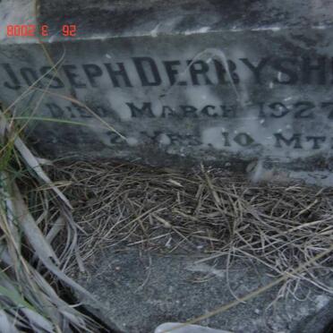 D - Vanne :: Surnames - D