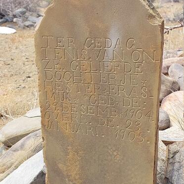 ERASMUS Hester 1904-1905