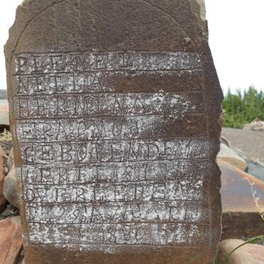 ERASMUS Pieternella Hermina 18?7-1880