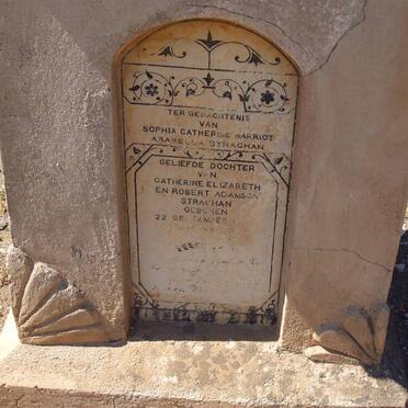 STRACHAN Sophia Catherina Harriot Arabella