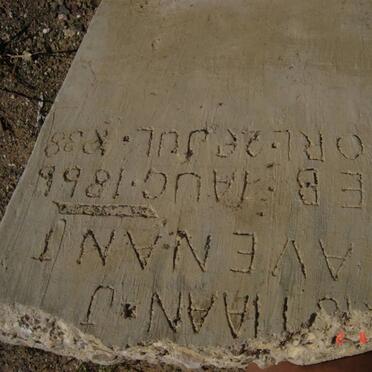 AVENANT Christiaan J. 1866-1938