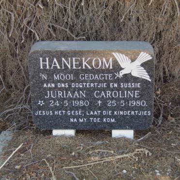 HANEKOM Juriaan Caroline 1980-1980