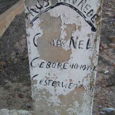 NEL ?. 193?-193?