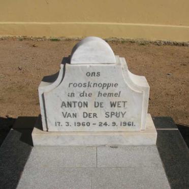 SPUY Anton de Wet, van der 1960-1961