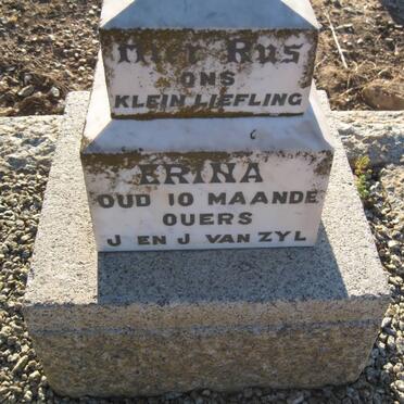 ZYL Erina, van