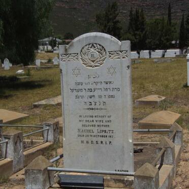 LIPSITZ Rachel -1931 