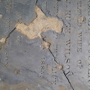 WILSON Margaret nee FOSTER -1885