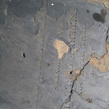 WILSON Margaret nee FOSTER -1885 :: WILSON Frederick Curlewis