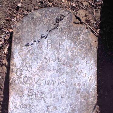 EVERSON F.P.v R. 1854-1904 