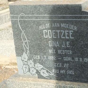 C - Surnames :: Vanne - C