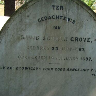 GROVE David Schalk 1867-1897