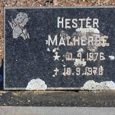 MALHERBE Hester 1976-1976