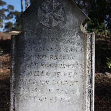 EVERSTE Maria 1867-1907