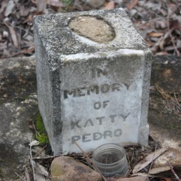 PEDRO Katty