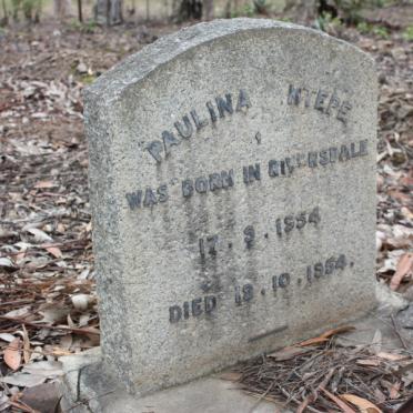 NTEPE Paulina 1954-1954