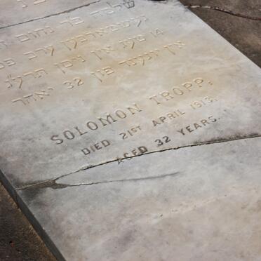 TROPP Solomon  -1913
