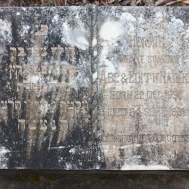 NAINKIN Hermie 1930-1931