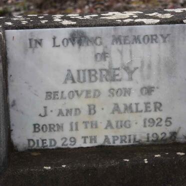 AMLER Aubrey 1925-1928