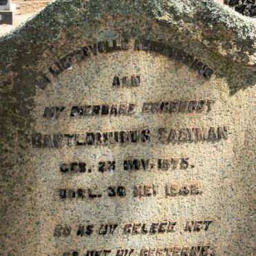 SAAYMAN Bartlomubus 1875-1942