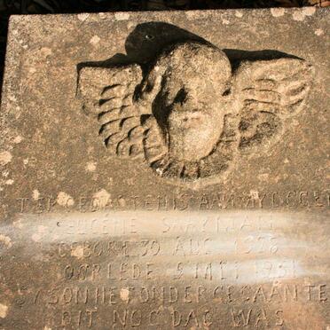 SAAYMAN Eugene 1828-1951