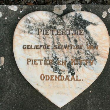 ODENDAAL Pietertjie