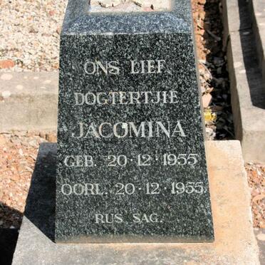 FICK Jacomina 1955-1955