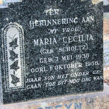 STEYN Maria Cecilia neé SCHOLTZ 1930-1956
