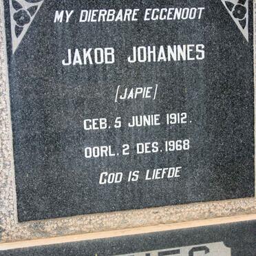 SPIES Jakob Johannes 1912-1968