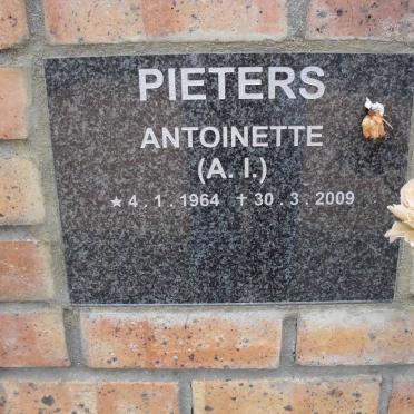 PIETERS A.I. 1964-2009