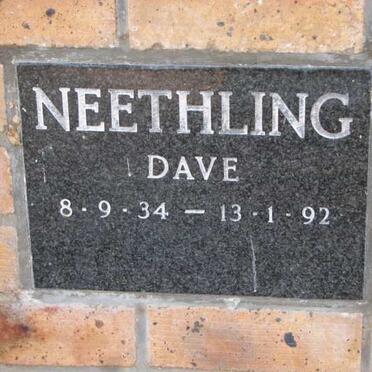 NEETHLING Dave 1934-1992