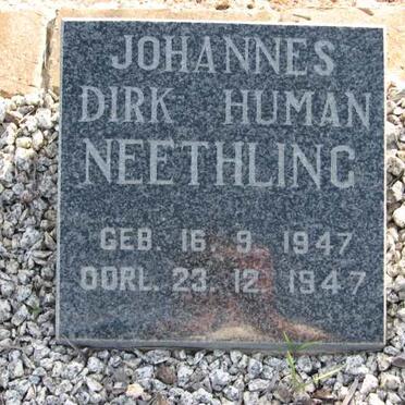NEETHLING Johannes Dirk Human 1947-1947