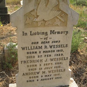 Western Cape, ROBERTSON district, McGregor, Vrolykheid 135_1, farm cemetery