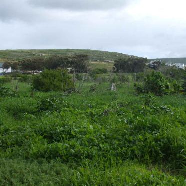 Western Cape, ST HELENA BAY, Steenberg Cove, old cemetery